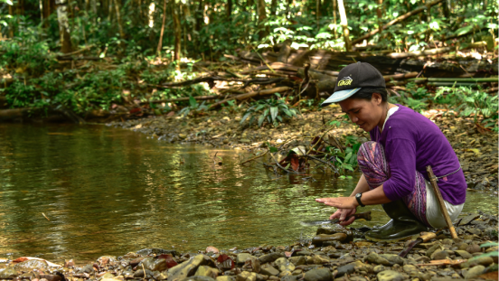 A woman at the edge of a creek, deep inside a forest